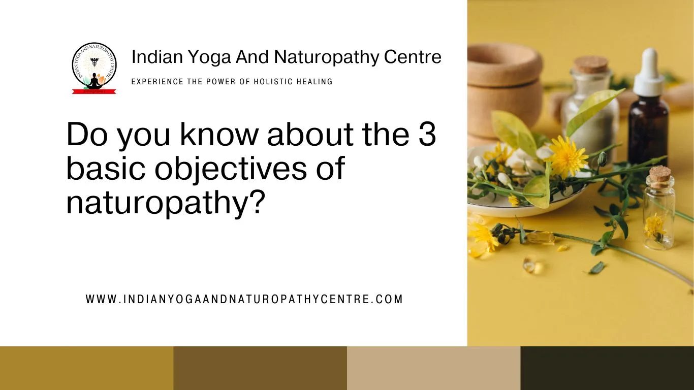 Do you know about the 3 basic objectives of naturopathy?