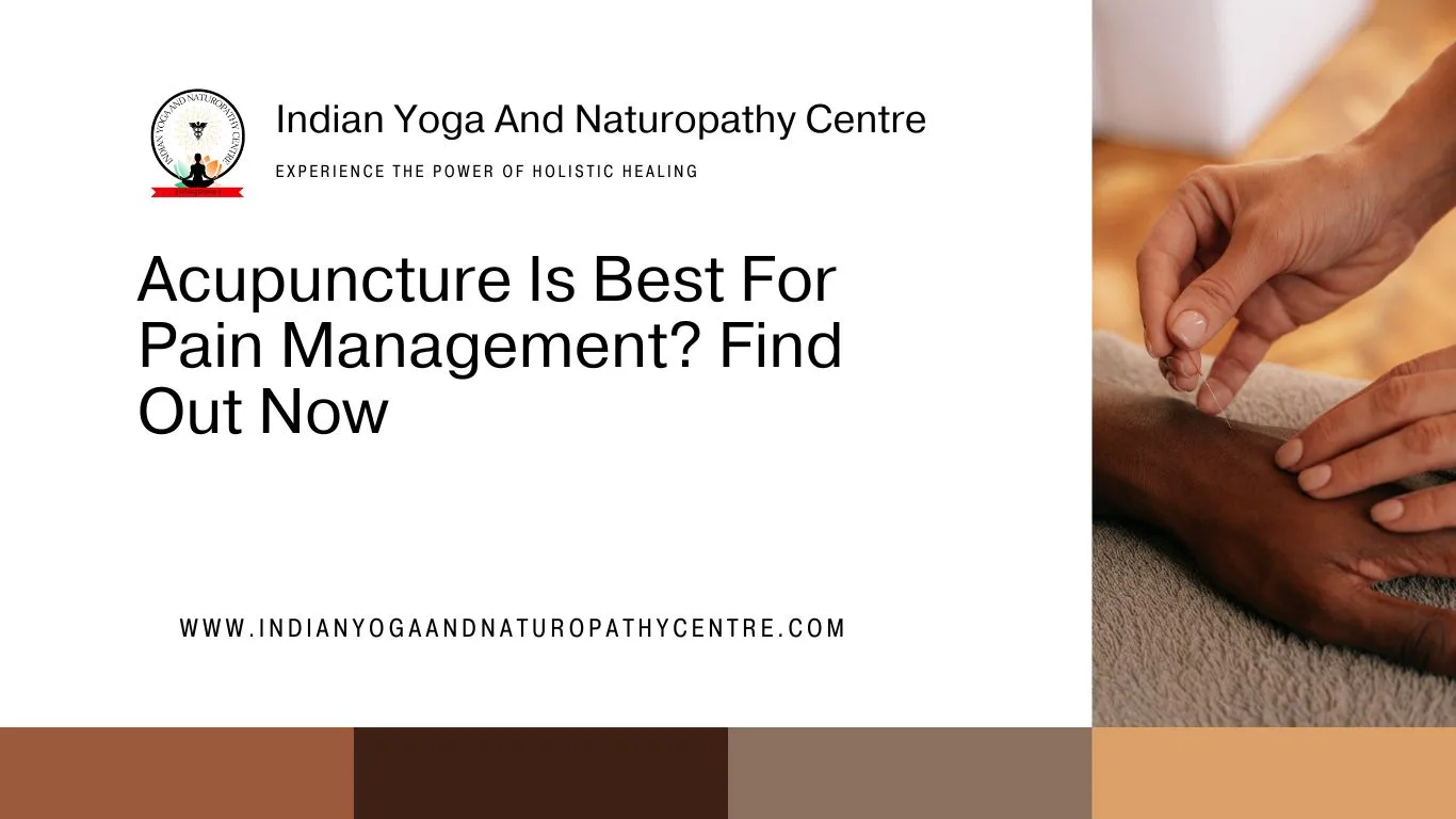 Acupuncture Is Best For Pain Management? Find Out Now