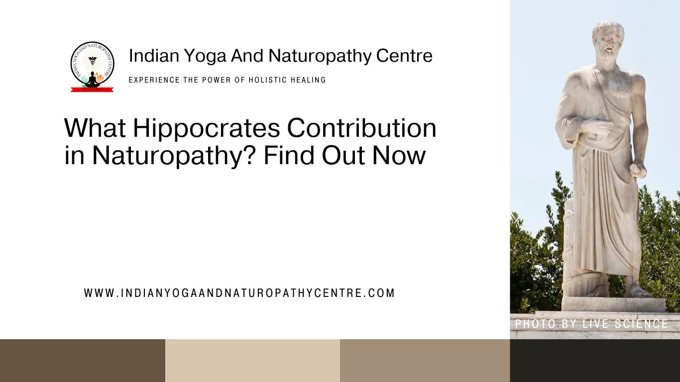 What Hippocrates Contribution in Naturopathy? Find Out Now