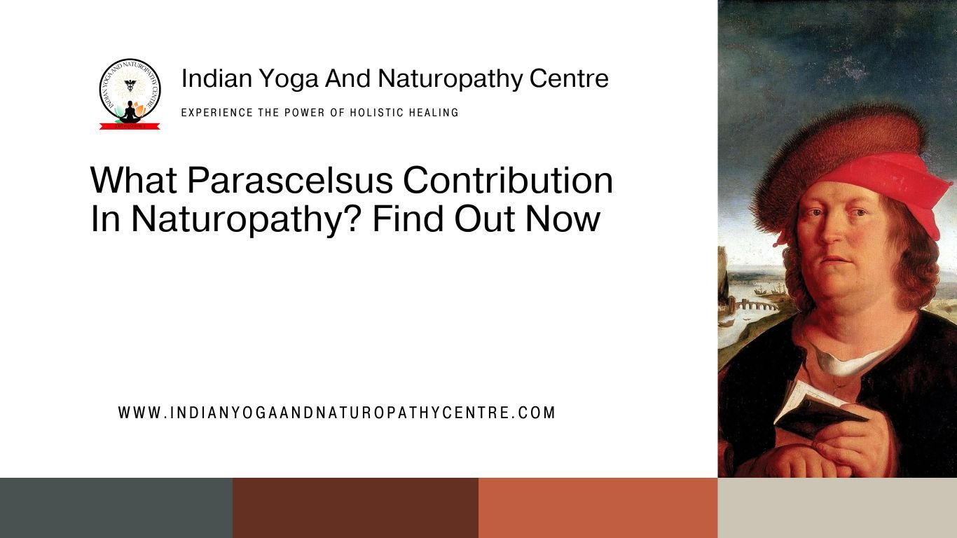 What Parascelsus Contribution In Naturopathy? Find Out Now
