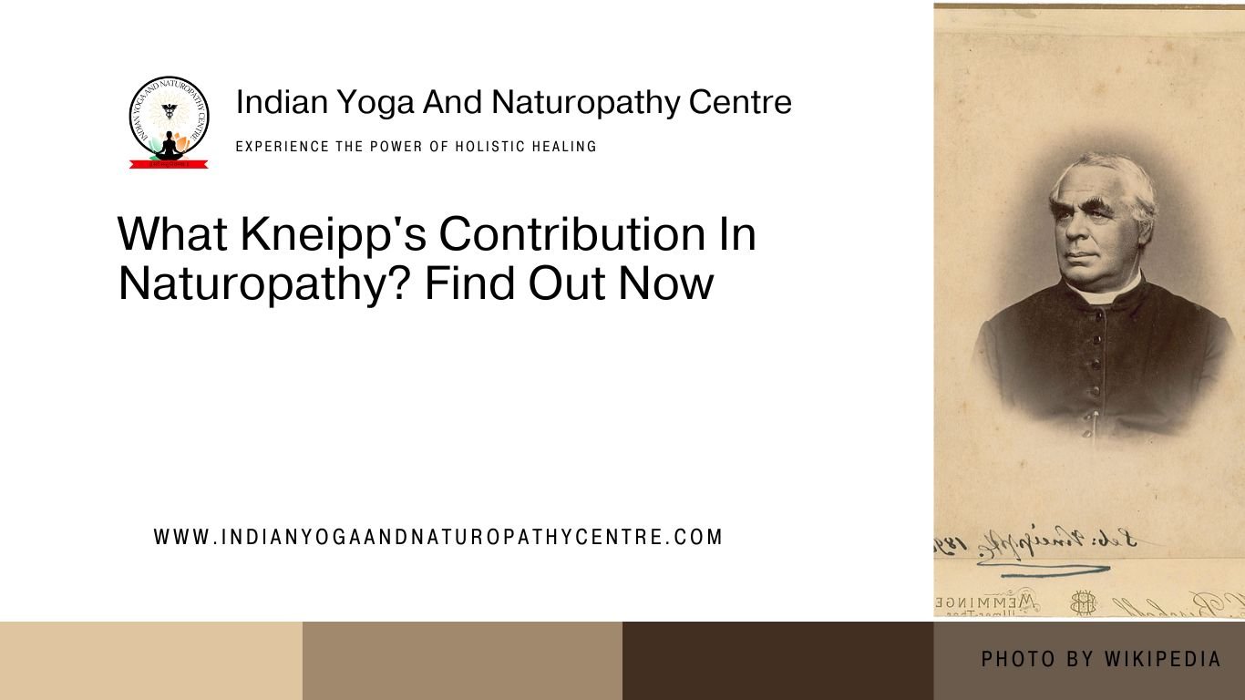 What Kneipp’s Contribution In Naturopathy? Find Out Now