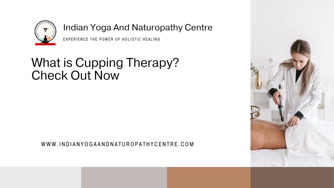 What is Cupping Therapy? Check Out Now