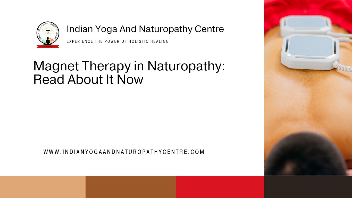 Magnet Therapy in Naturopathy: Read About It Now