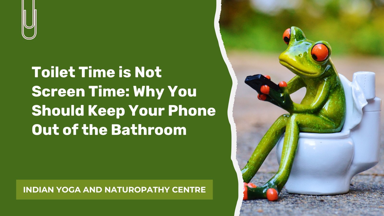 Toilet Time is Not Screen Time: Why You Should Keep Your Phone Out of the Bathroom