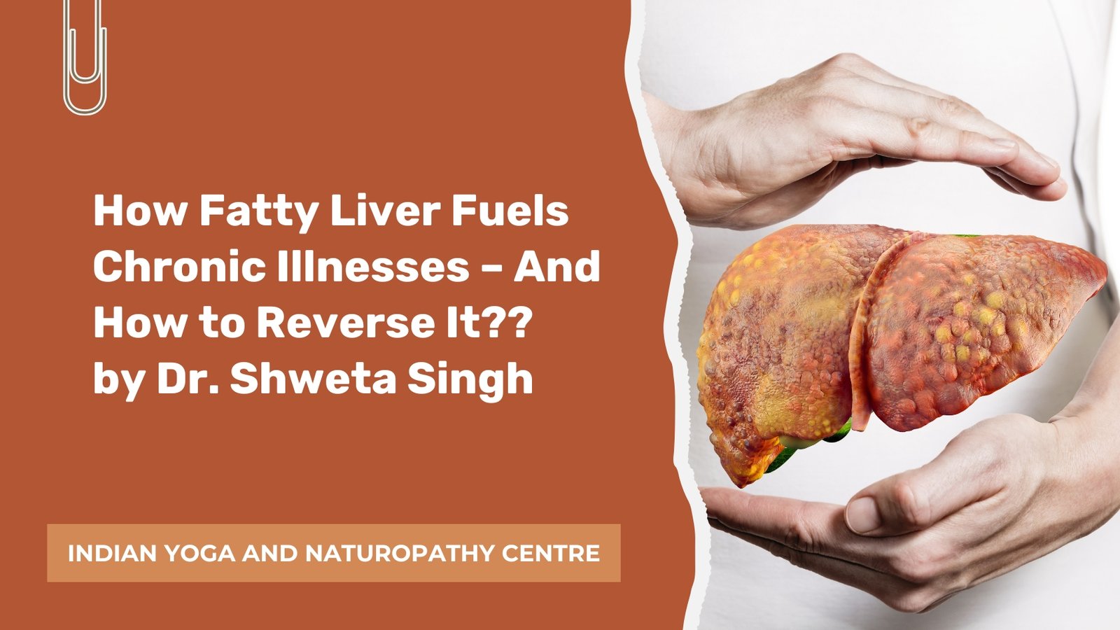 How Fatty Liver Fuels Chronic Illnesses – And How to Reverse It??