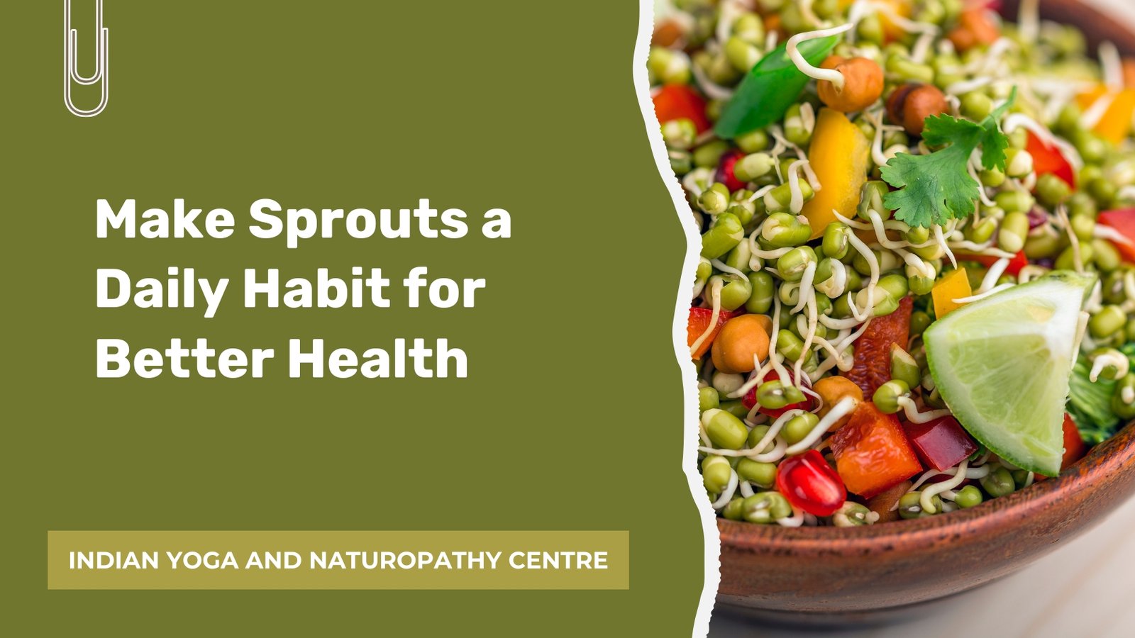 Make Sprouts a Daily Habit for Better Health