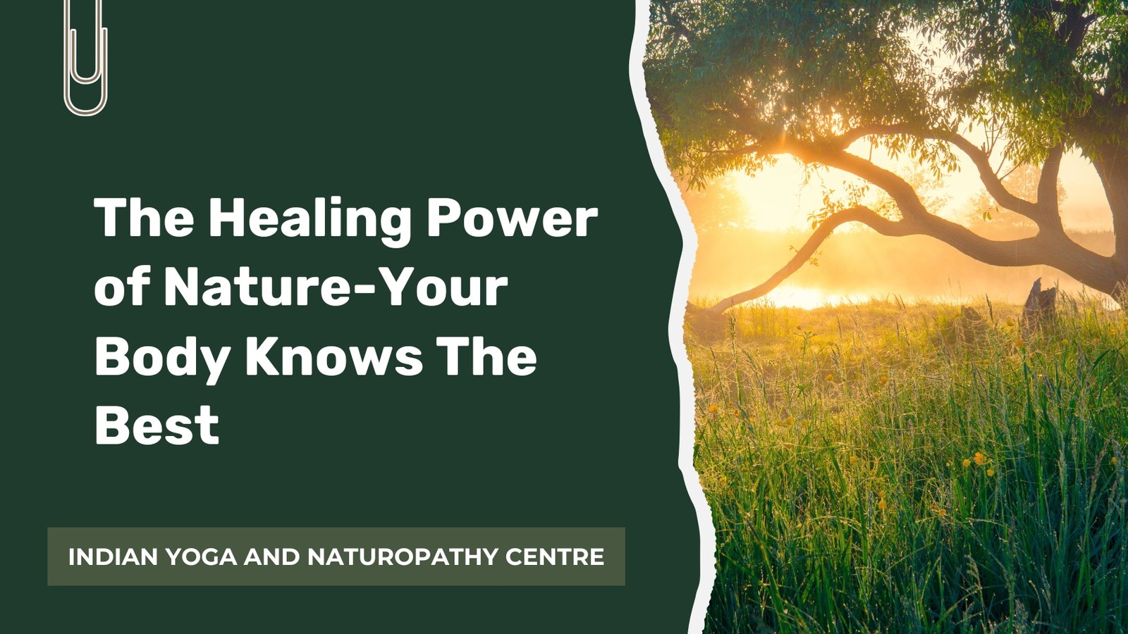 The Healing Power of Nature-Your Body Knows The Best